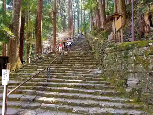 飛瀧神社（熊野那智大社別宮）(和歌山県)
