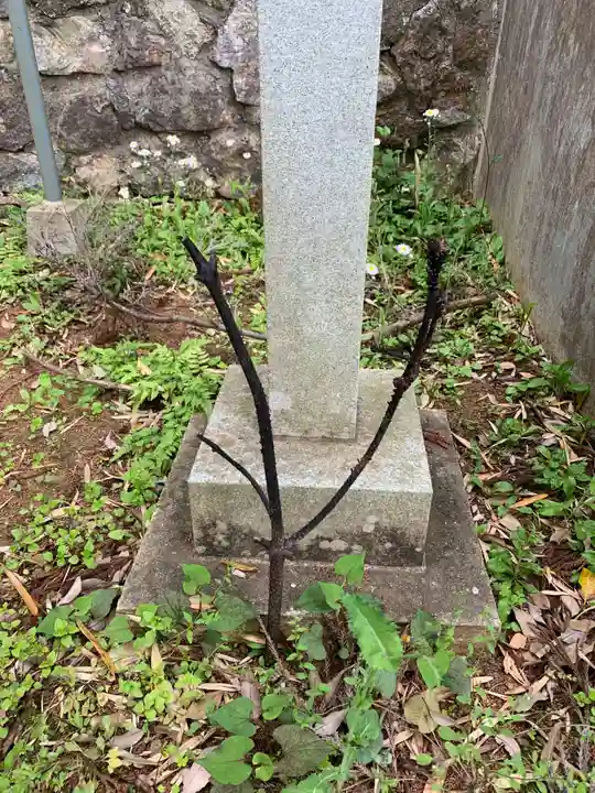 若宮八幡神社(千葉県)