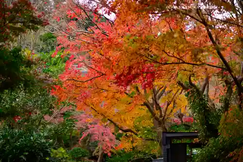 円覚寺(神奈川県)