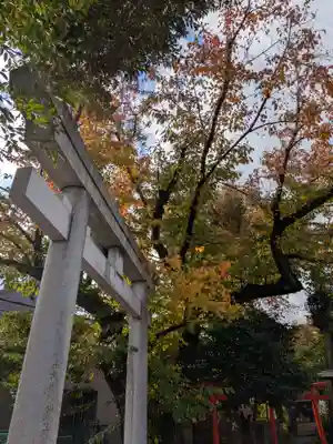 本郷氷川神社(東京都)