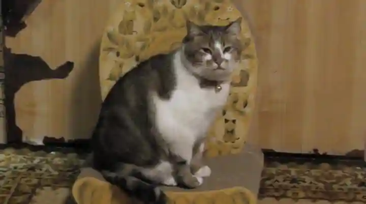 武蔵一宮氷川神社(埼玉県)