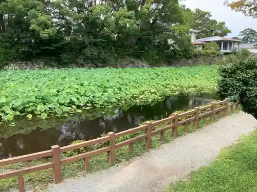報徳二宮神社の庭園