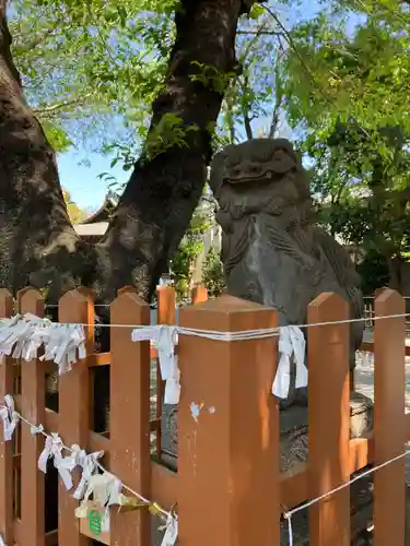 嶺御嶽神社の狛犬