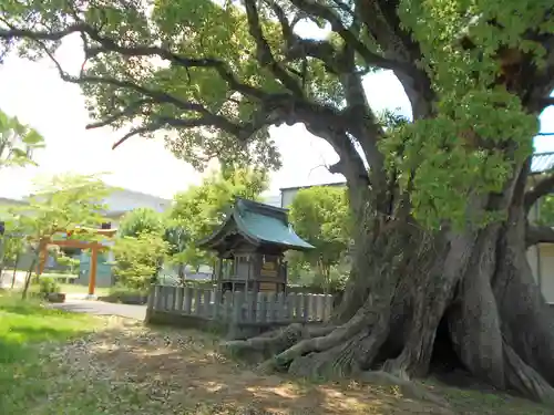 浅井神社の末社・摂社