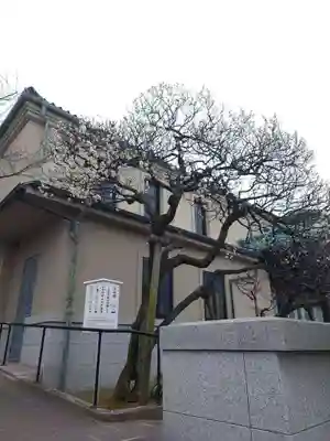 泉岳寺(東京都)