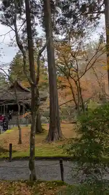 三千院門跡(京都府)