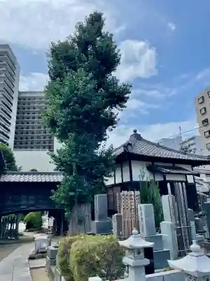 吉祥寺(千葉県)