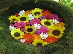 菅生神社(愛知県)