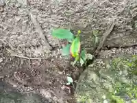 北野神社(福島県)