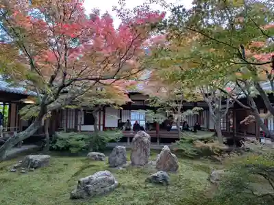 建仁寺（建仁禅寺）(京都府)