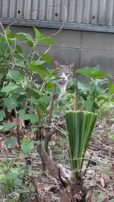 天満宮(京都府)