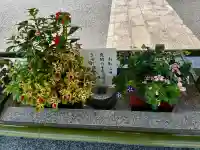 廣島護國神社(広島県)