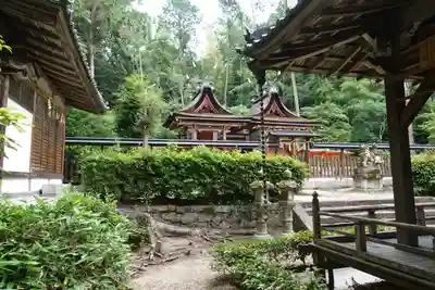 登彌神社の本殿・本堂