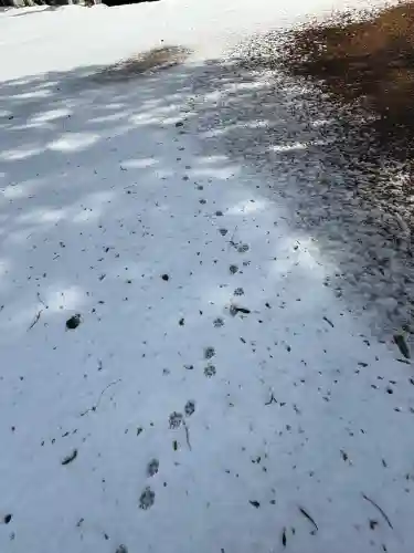 余勢城跡観音の{uncategorized: "未分類", other: "その他", undefined: "問題あり", building: "その他建物", grave: "お墓", sacred_gate: "鳥居", guardian: "狛犬", statue: "像", buddha: "仏像", history: "歴史", nature: "自然", garden: "庭園", animal: "動物", pagoda: "塔", temizu: "手水舎", mountain_gate: "山門・神門", sanctuary: "本殿・本堂", subordinate: "末社・摂社", art: "芸術", scenery: "景色", jizo: "地蔵", ema: "絵馬", goshuin: "御朱印", omikuji: "おみくじ", items: "授与品その他", amulet: "お守り", goshuincho: "御朱印帳", eats: "食事", festival: "お祭り", votive_dance: "神楽", shichigosan: "七五三参", wedding: "結婚式", experience: "体験その他", initially: "初詣", around: "周辺", anti_infection: "感染症対策"}