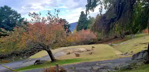金華山黄金山神社のその他建物