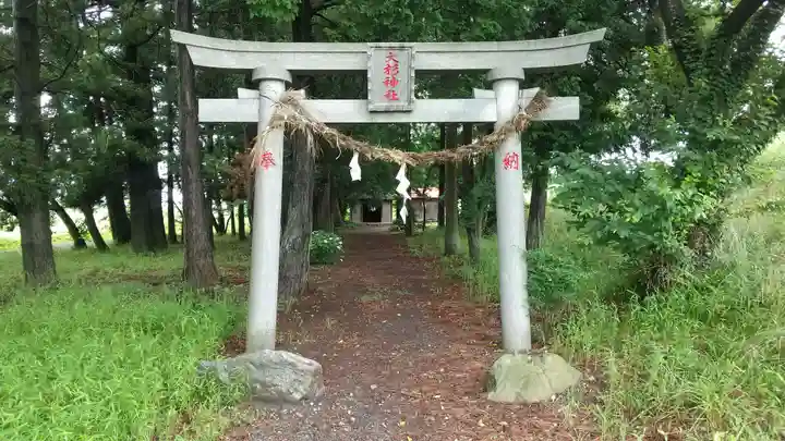 大杉神社(栃木県)