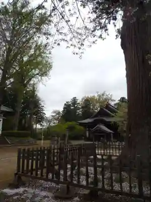 弘経寺のその他建物