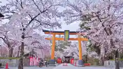 平野神社の鳥居