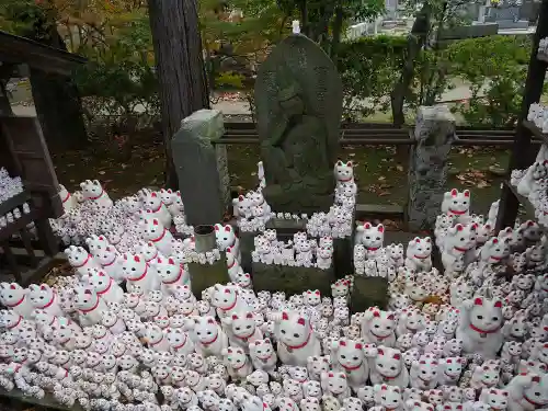 豪徳寺の狛犬