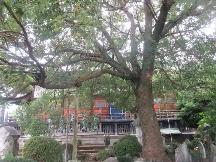 定願寺(栃木県)