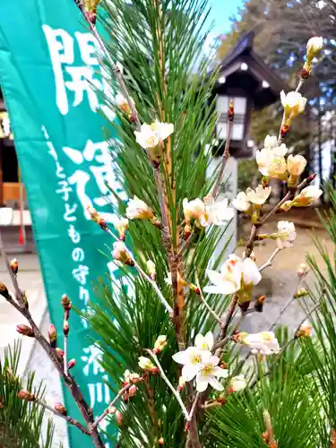 滑川神社 - 仕事と子どもの守り神の景色