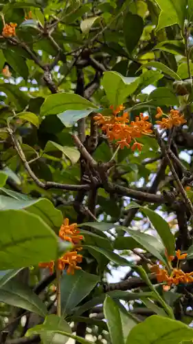 宝蔵寺(京都府)