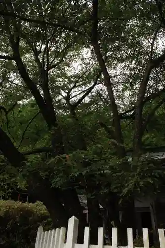 月輪寺のその他建物