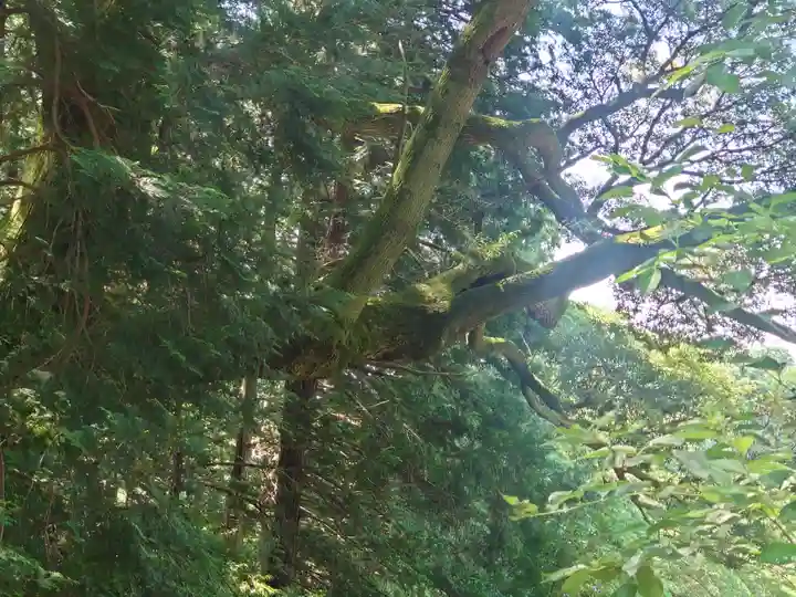 諏訪神社(神奈川県)