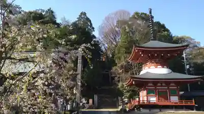 慈尊院(和歌山県)