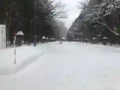 北海道神宮の景色