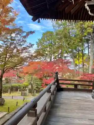 真正極楽寺(真如堂)のその他建物