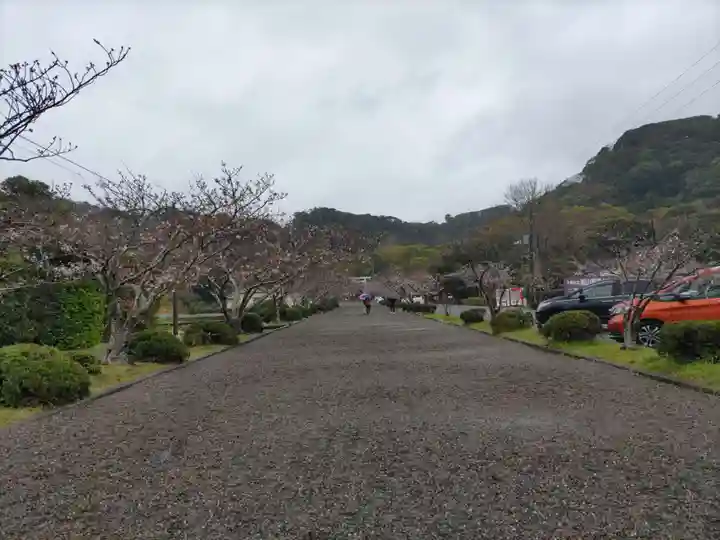 安房神社の自然