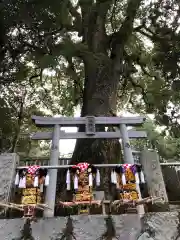 白山神社の鳥居