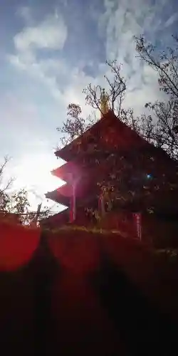 高幡不動尊　金剛寺の塔