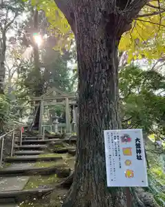 天台宗 長窪山 正覚寺の像(2021年11月20日(土) 11時42分38秒投稿)