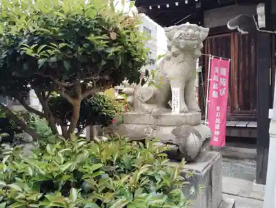 金刀比羅神社の狛犬