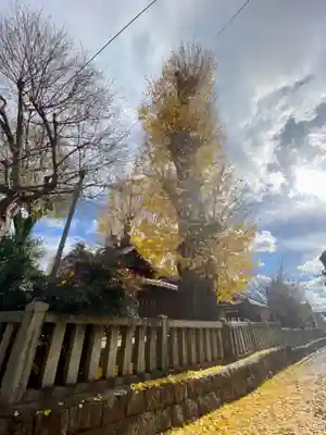 宇賀神社の自然