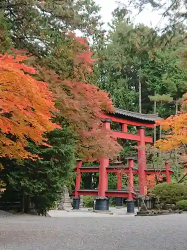 北口本宮冨士浅間神社の鳥居