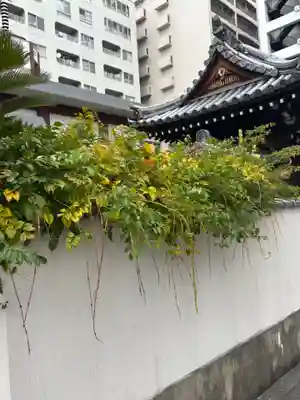専念寺(大阪府)