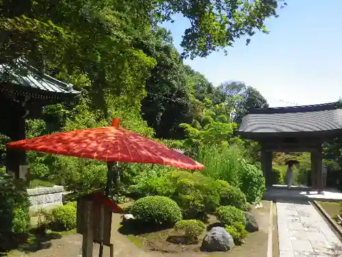 海蔵寺の庭園