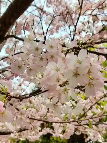 麻布氷川神社(東京都)