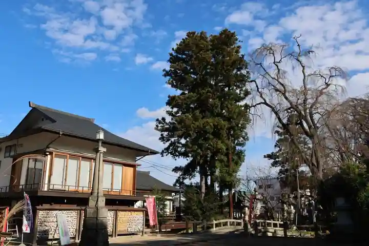 神炊館神社 ⁂奥州須賀川総鎮守⁂の景色