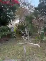 王楽寺(宮崎県)