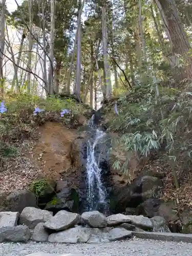 戸隠神社中社の自然