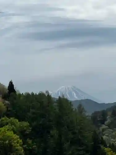 金櫻神社の{uncategorized: "未分類", other: "その他", undefined: "問題あり", building: "その他建物", grave: "お墓", sacred_gate: "鳥居", guardian: "狛犬", statue: "像", buddha: "仏像", history: "歴史", nature: "自然", garden: "庭園", animal: "動物", pagoda: "塔", temizu: "手水舎", mountain_gate: "山門・神門", sanctuary: "本殿・本堂", subordinate: "末社・摂社", art: "芸術", scenery: "景色", jizo: "地蔵", ema: "絵馬", goshuin: "御朱印", omikuji: "おみくじ", items: "授与品その他", amulet: "お守り", goshuincho: "御朱印帳", eats: "食事", festival: "お祭り", votive_dance: "神楽", shichigosan: "七五三参", wedding: "結婚式", experience: "体験その他", initially: "初詣", around: "周辺", anti_infection: "感染症対策"}