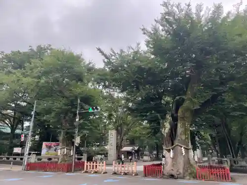 大國魂神社のその他建物