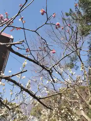 このみ白雲大社(岡山県)
