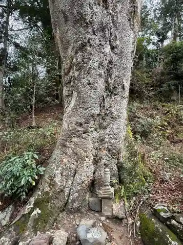 丹生川上神社（下社）(奈良県)