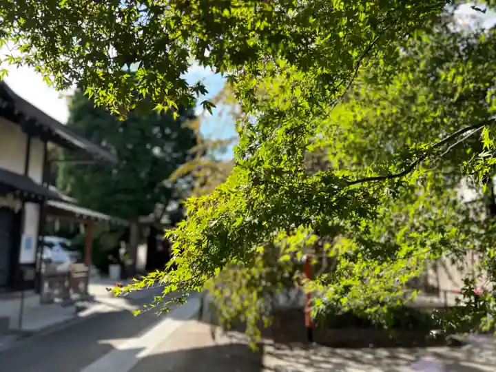 猿田彦神社(東京都)
