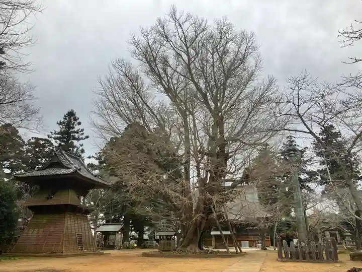 西蓮寺(茨城県)